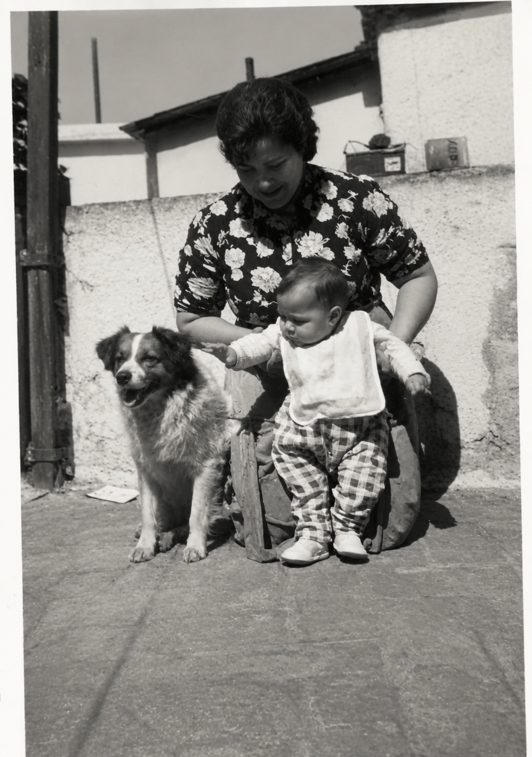 Fotomontaje 1